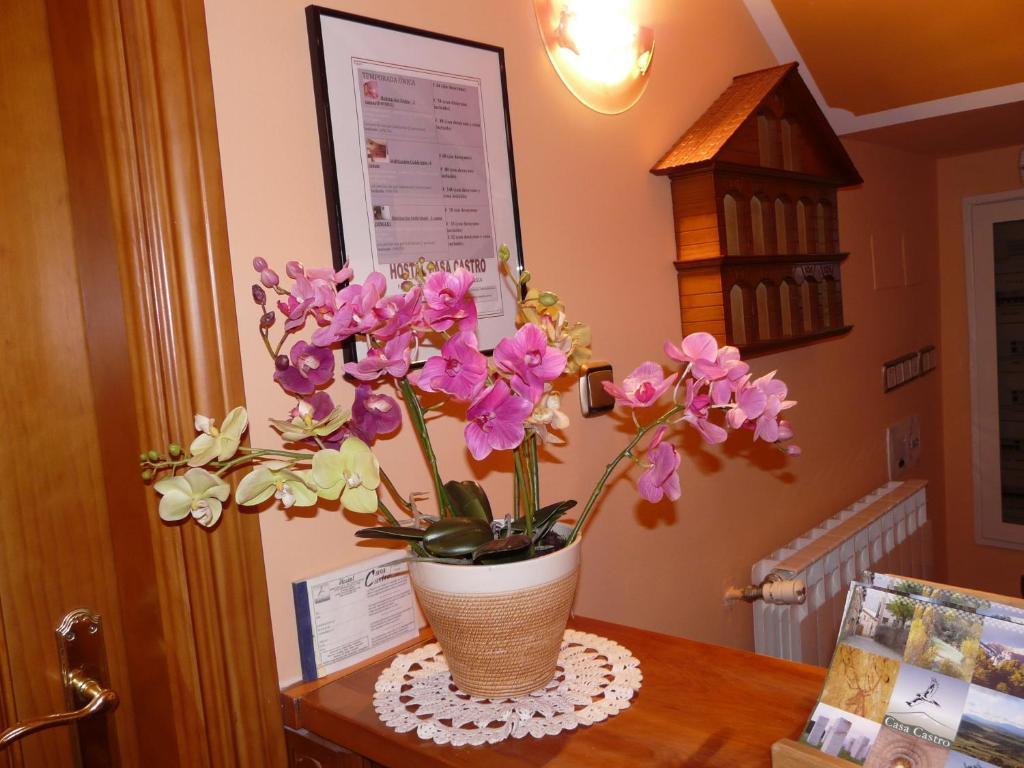 Hostal Rural Casa Castro Alberuela de la Liena Exteriér fotografie